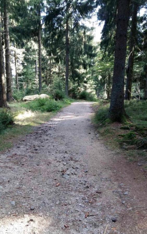 Bergerlebnis Natur Pur Sankt Englmar Kültér fotó